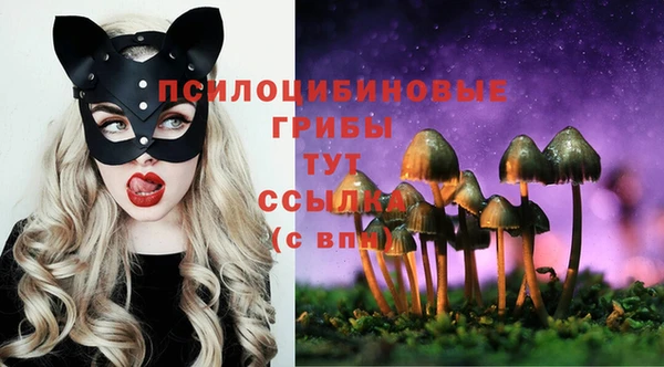 мескалин Алексин