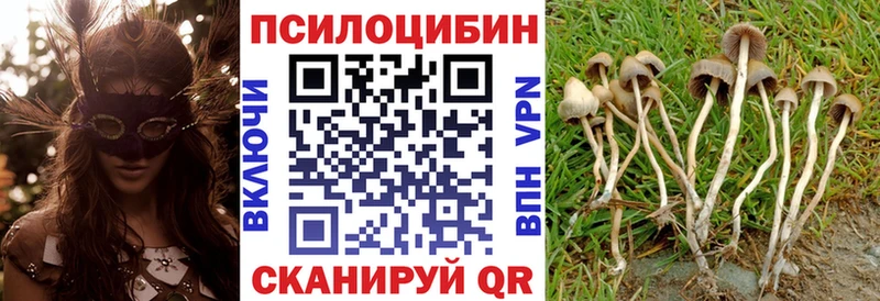 Псилоцибиновые грибы Magic Shrooms  Артёмовск 